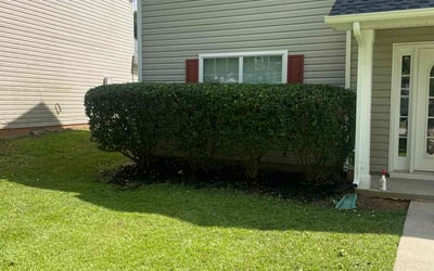 Photo of Arica A.'s yard after getting lawn care in Rancho Cucamonga, CA