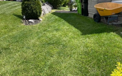 Photo of Teri B.'s yard after getting lawn care in Manlius, NY