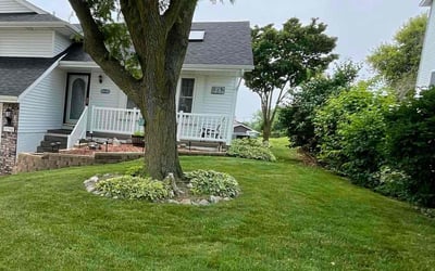 Photo of Amy E.'s yard after getting lawn care in Richardson, TX