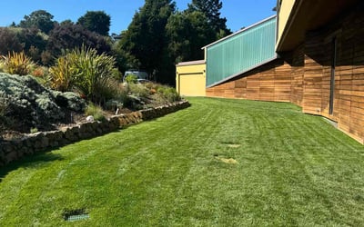 Photo of Tobias S.'s yard after getting lawn care in Mill Valley, CA
