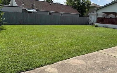 Photo of Katharine P.'s yard after getting lawn care in San Diego, CA