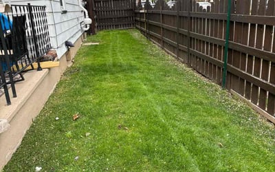 Photo of Leonard A.'s yard after getting lawn care in Phillipsburg, NJ