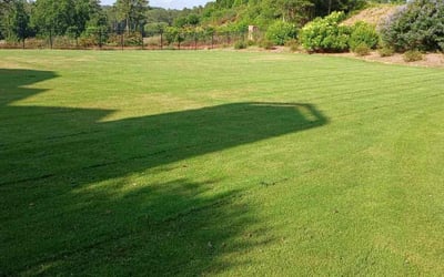 Photo of Gina C.'s yard after getting lawn care in Milton, MA
