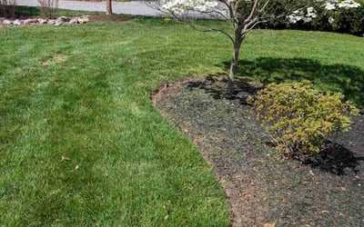 Photo of Jason D.'s yard after getting lawn care in Dover, PA