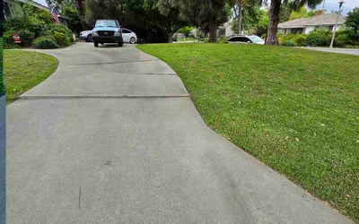 Photo of Michael J.'s yard after getting lawn care in Arcadia, CA