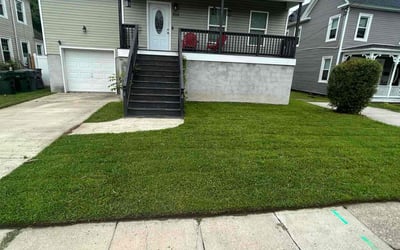 Photo of Billy S.'s yard after getting lawn care in Madison, MS