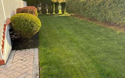 Photo of Keke J.'s yard after getting lawn care in Haledon, NJ