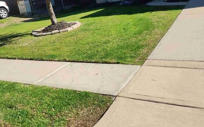 Photo of Tony R.'s yard after getting lawn care in Fort Smith, AR