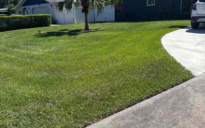 Photo of Hector C.'s yard after getting lawn care in Rockwall, TX