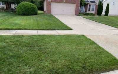 Photo of Micheal W.'s yard after getting lawn care in Novi, MI