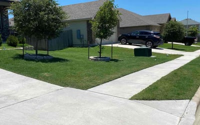 Photo of Stacey M.'s yard after getting lawn care in Elgin, TX