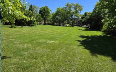 Photo of Tucker B.'s yard after getting lawn care in Chardon, OH
