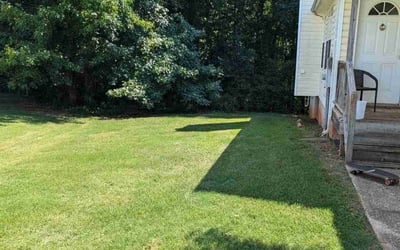 Photo of Seanean S.'s yard after getting lawn care in Auburn, AL