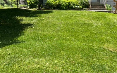 Photo of Erin W.'s yard after getting lawn care in Saint Charles, IL