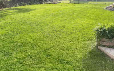 Photo of Mary K.'s yard after getting lawn care in Maple Shade, NJ