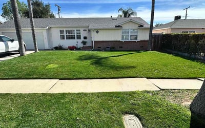 Photo of Michelle F.'s yard after getting lawn care in Calabasas, CA