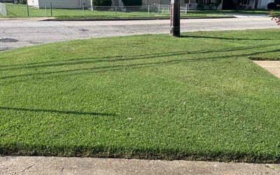 Photo of Ty B.'s yard after getting lawn care in Hampton, VA