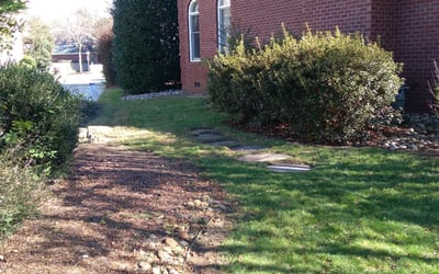 Photo of Shaneka J.'s yard after getting tree care in Winter Springs, FL