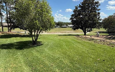 Photo of Bridget C.'s yard after getting lawn care in Dover, NH