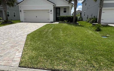 Photo of Alexia D.'s yard after getting lawn care in Robstown, TX