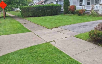 Photo of Mike R.'s yard after getting lawn care in Euclid, OH
