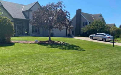 Photo of Judy Y.'s yard after getting lawn care in New Berlin, WI