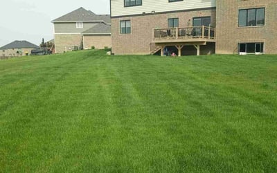 Photo of David L.'s yard after getting lawn care in Frankfort, IL