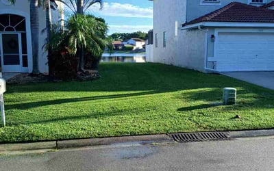 Photo of Elizabeth C.'s yard after getting lawn care in Lake Worth, FL