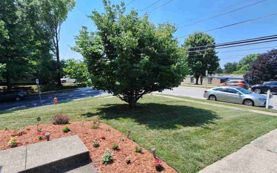 Photo of Temitope K.'s yard after getting tree care in Mount Airy, MD