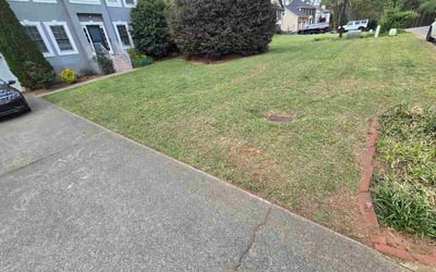 Photo of Susan H.'s yard after getting lawn care in Conway, SC