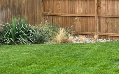 Photo of Vanessa L.'s yard after getting lawn care in Sayville, NY