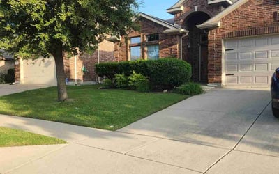 Photo of Tosha T.'s yard after getting lawn care in Douglasville, GA