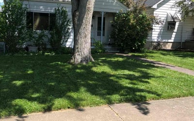 Photo of Tom K.'s yard after getting lawn care in Vandalia, OH