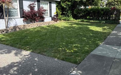 Photo of Emilie G.'s yard after getting lawn care in Saginaw, MI