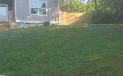 Photo of Thomas K.'s yard after getting lawn care in Glenshaw, PA