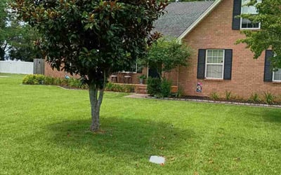 Photo of Julie K.'s yard after getting lawn care in Pennsauken, NJ