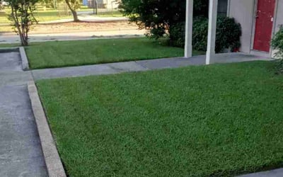 Photo of Jordan B.'s yard after getting lawn care in Castro Valley, CA