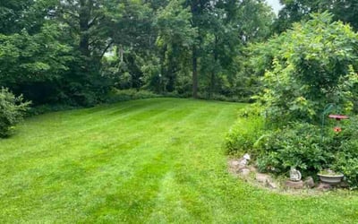 Photo of Tyler D.'s yard after getting lawn care in East Syracuse, NY