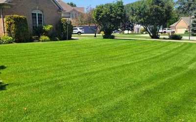 Photo of David P.'s yard after getting lawn care in Granger, IN