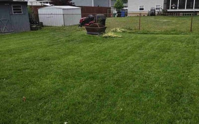 Photo of Erik P.'s yard after getting lawn care in Swedesboro, NJ