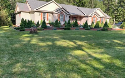 Photo of Laurie C.'s yard after getting lawn care in Forks, PA