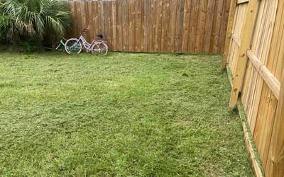 Photo of Kristin J.'s yard after getting lawn care in Middle River, MD