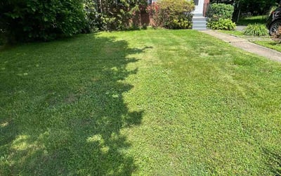 Photo of Phong T.'s yard after getting lawn care in Arlington, VA
