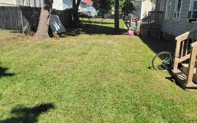 Photo of Patty m.'s yard after getting lawn care in New Bedford, MA