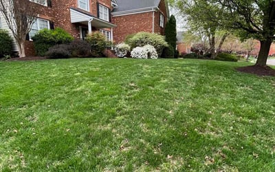 Photo of Marva M.'s yard after getting lawn care in Auburn, MA
