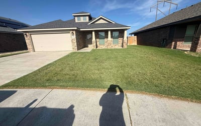 Photo of Carla H.'s yard after getting lawn care in Gold Canyon, AZ