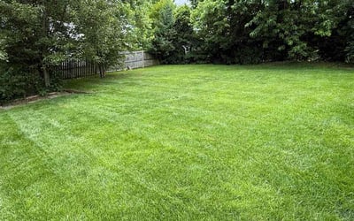 Photo of Beverly H.'s yard after getting lawn care in Carrollton, TX