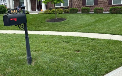 Photo of Kerri B.'s yard after getting lawn care in Maineville, OH