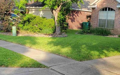 Photo of Wallace M.'s yard after getting lawn care in San Francisco, CA