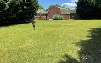 Photo of Margaret A.'s yard after getting lawn care in Greenville, SC